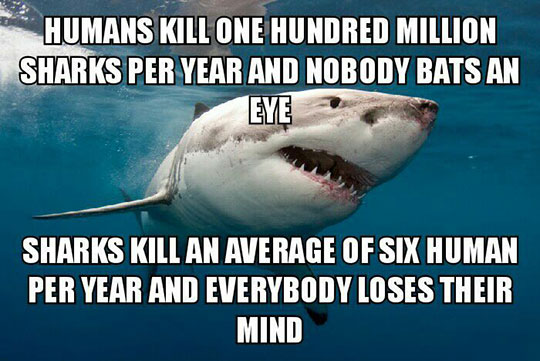 Humans are scary