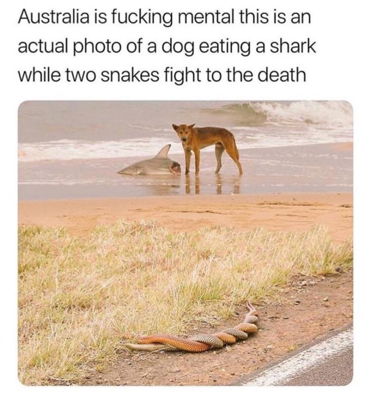 Aussie rules.