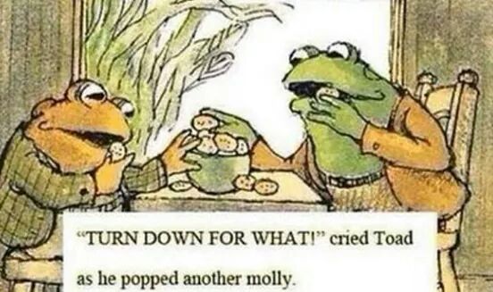 Toad sure knew how to party.