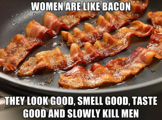 Women are like bacon.