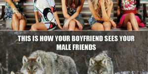 Female Friends Vs. Male Friends