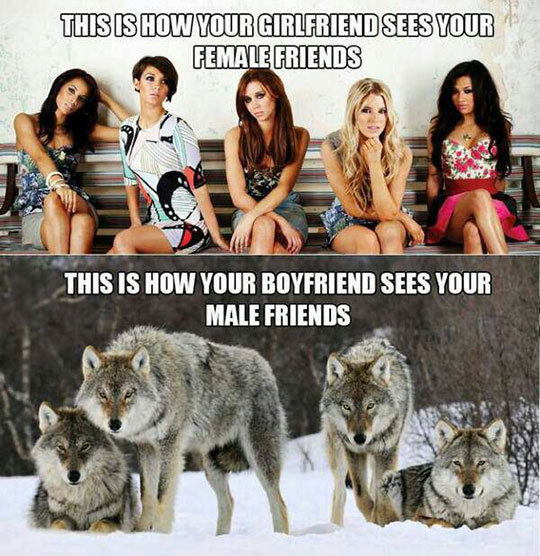 Female Friends Vs. Male Friends