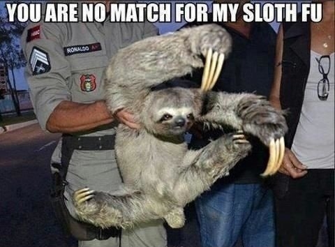 You are no match for my sloth fu!