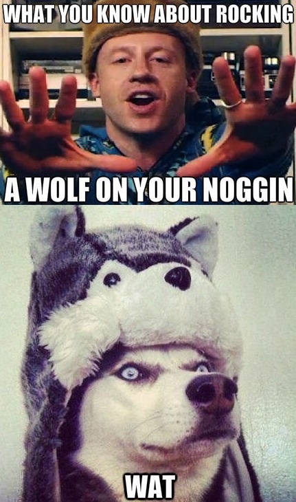 A wolf on your noggin.