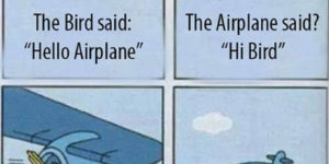 Hello Airplane.