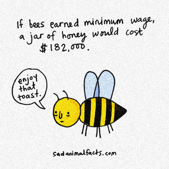 If Bees Were Paid For Their Work