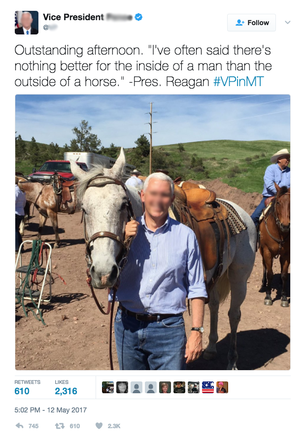I feel like there are a lot better ways to express your love for horses, Mr Blurry Face