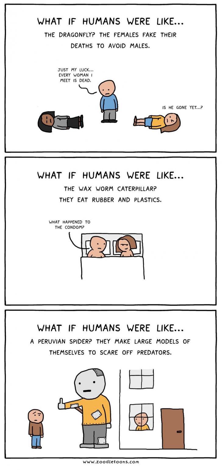 What If Humans Were More Like...