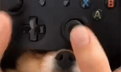 Bonus controller button.