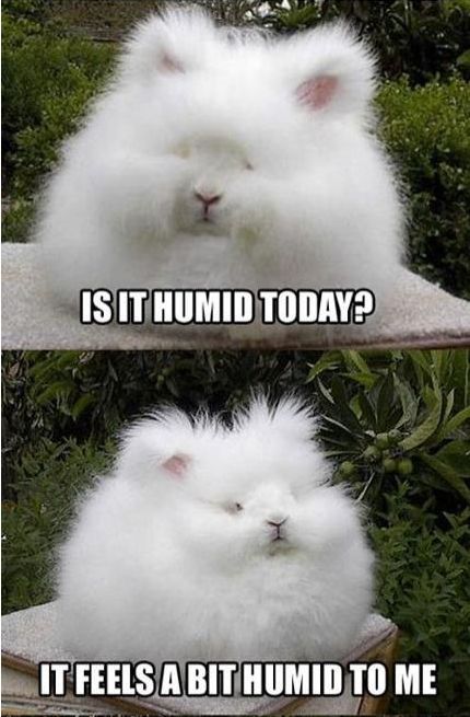 Is it humid today?