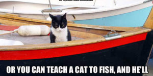 Teaching a cat to fish.