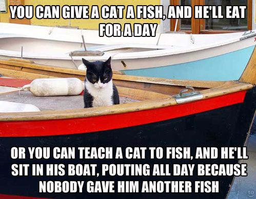 Teaching a cat to fish.