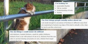 If cats had online dating profiles…