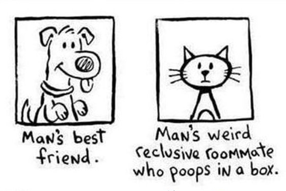 Man's best friend...