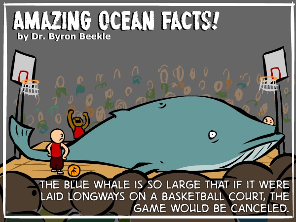 Ocean Facts