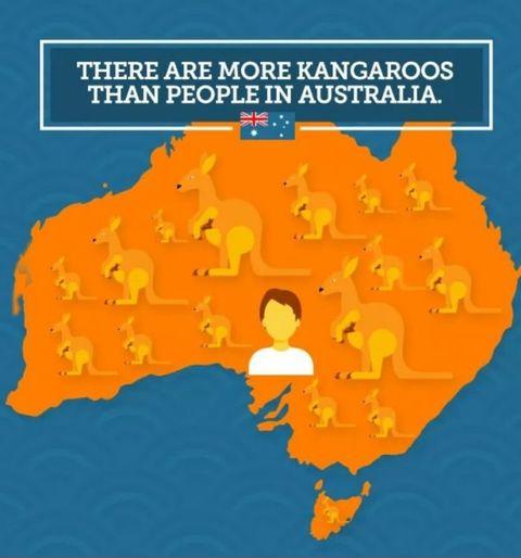 Interesting fact about Australia