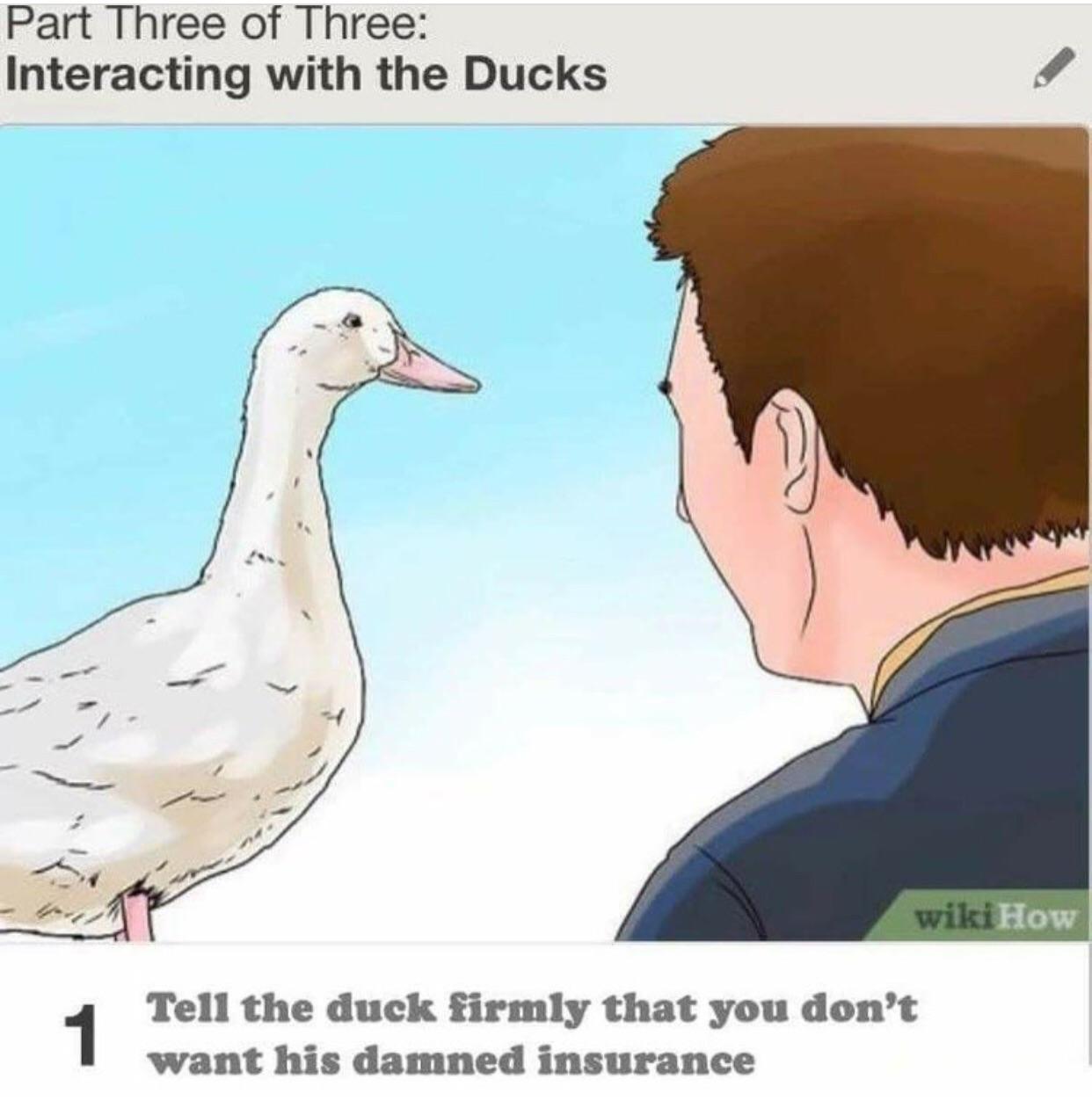Interacting with ducks: Step 2