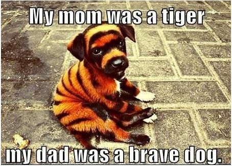 My mom was a tiger.