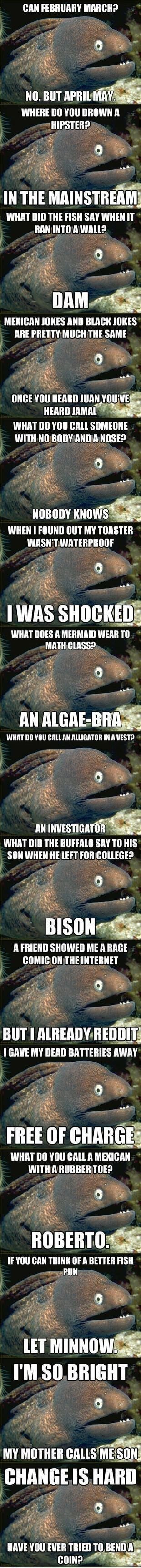 Bad joke eel strikes again.