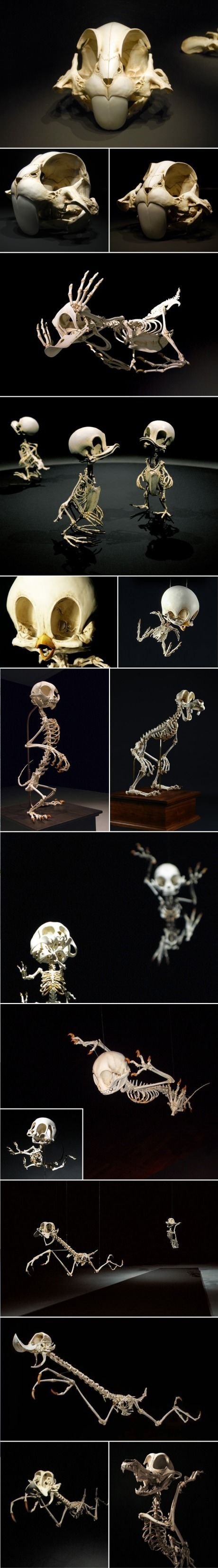 Skeletons of Disney Characters.