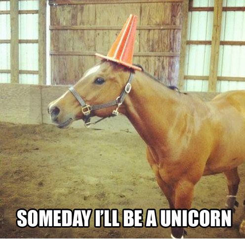 Someday I'll be a unicorn.
