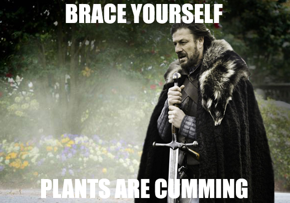 To everyone with seasonal allergies