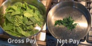 Understanding your paycheck…