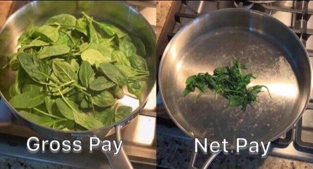 Understanding your paycheck...