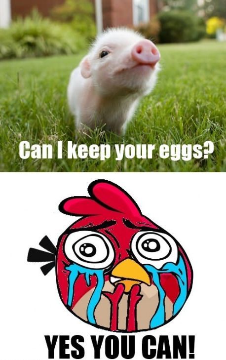 Can I keep your eggs?