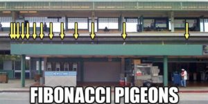 Pidgeonacci+Sequence