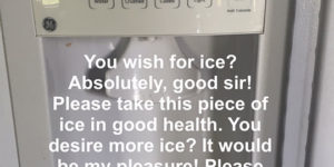 Ice Dispenser Theory