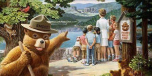 Smokey prevents forest fires