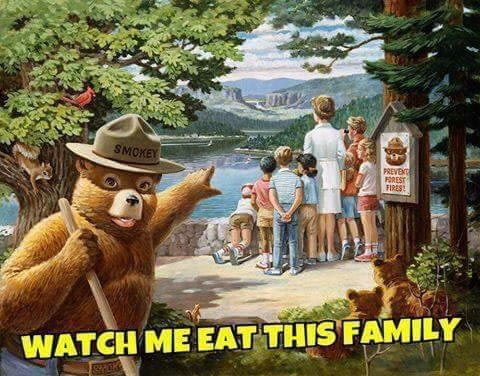 Smokey prevents forest fires