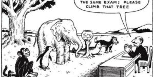 How standardized testing works.