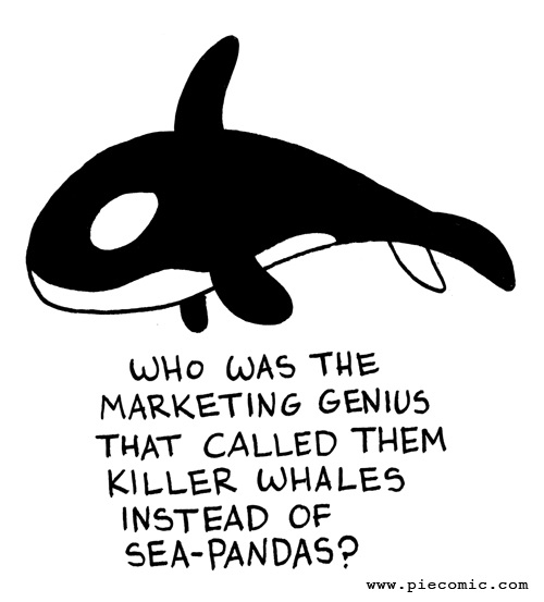 Who named them killer whales?