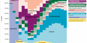 Common causes of death in the US (2010)