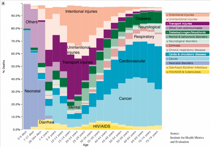 Common causes of death in the US (2010)