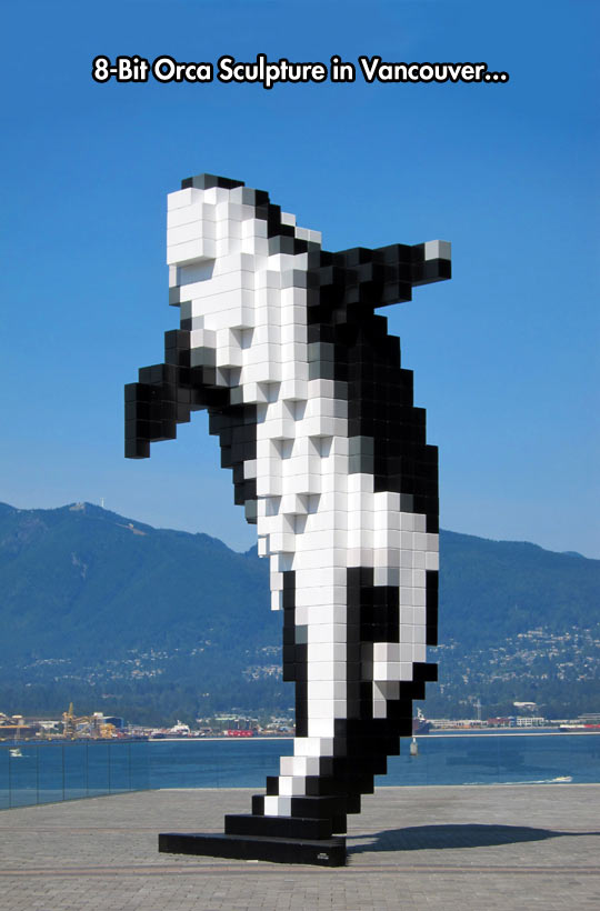 8-bit orca