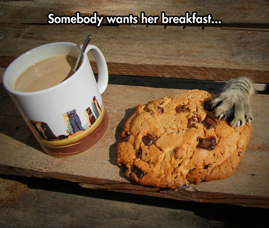 Somebody wants her breakfast...