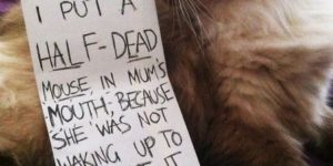 Cats+are+disgusting+jerks.