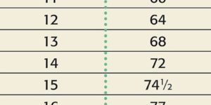 Dog age vs human age