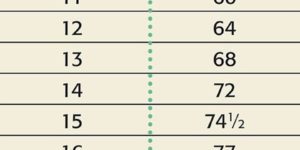 Dog age vs human age