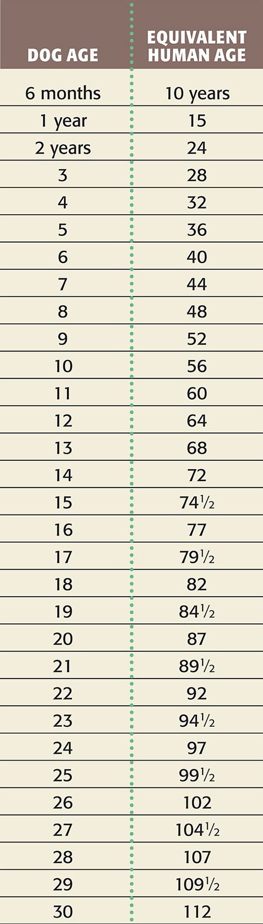 Dog age vs human age