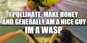 Save The Honey Bee