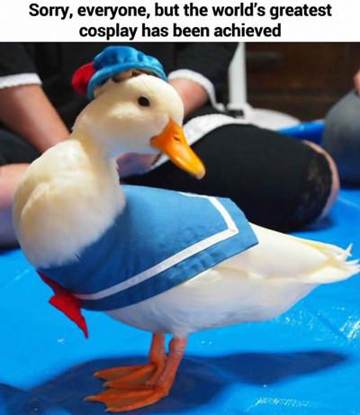 Worlds greatest cosplay