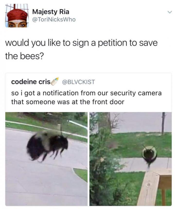 Bee humble!
