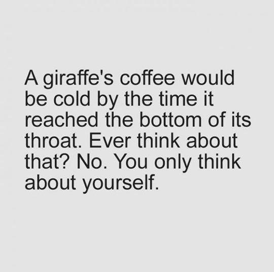 A Giraffe's Coffee