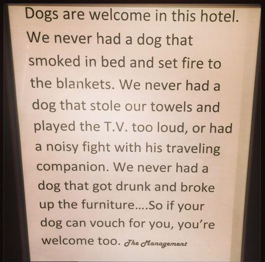 Dogs Are Welcome