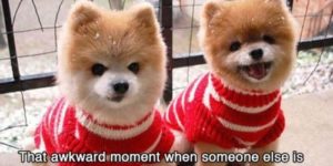 That awkward moment when…