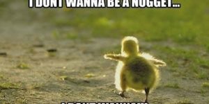 I don’t wanna be a nugget!
